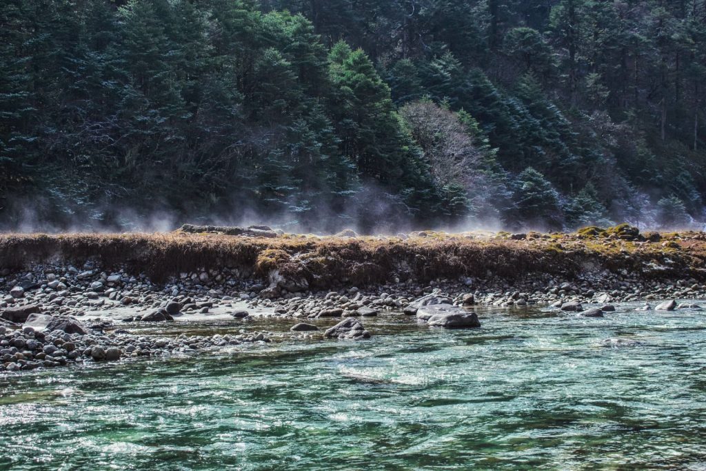 Crystal clear river flowing through Yumthang Valley, SK, India, surrounded by lush evergreen forests.