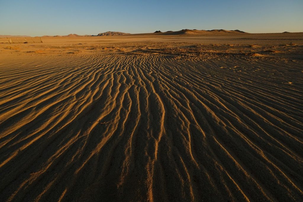 Stunning capture of rippled sand dunes under soft evening light in a vast desert.