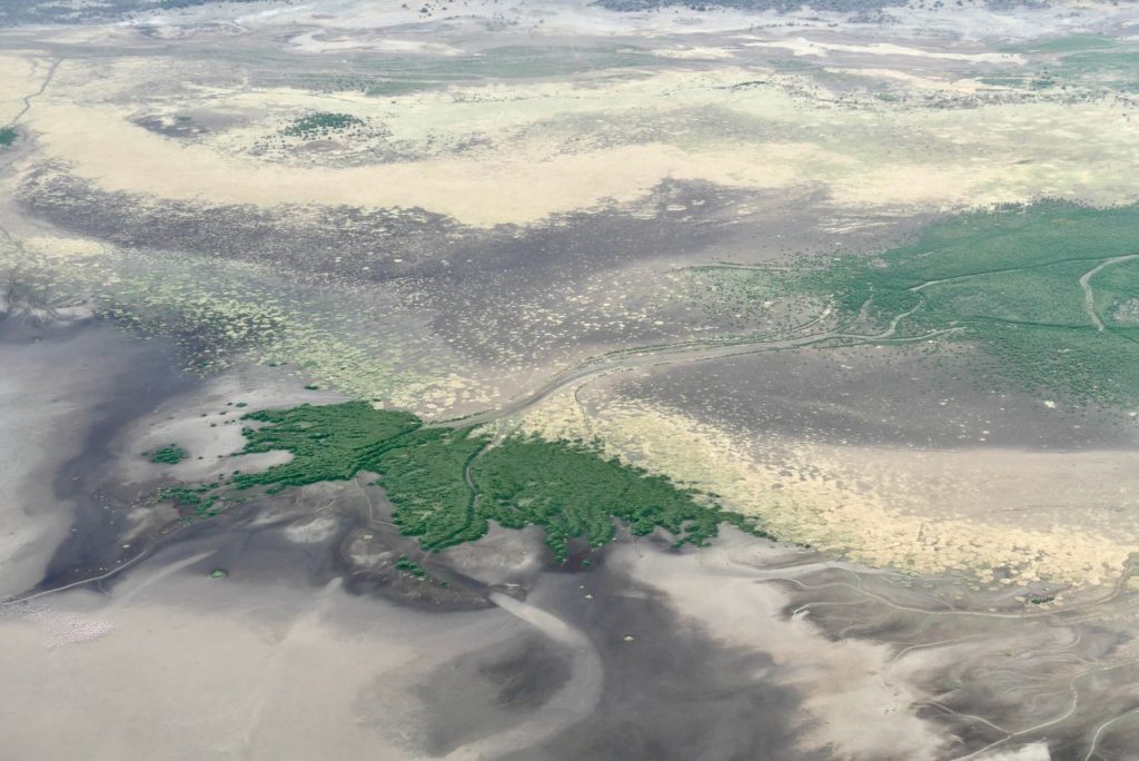 Aerial landscape showing a dried-up lakebed with vibrant green patches in Tanzania's Manyara region.