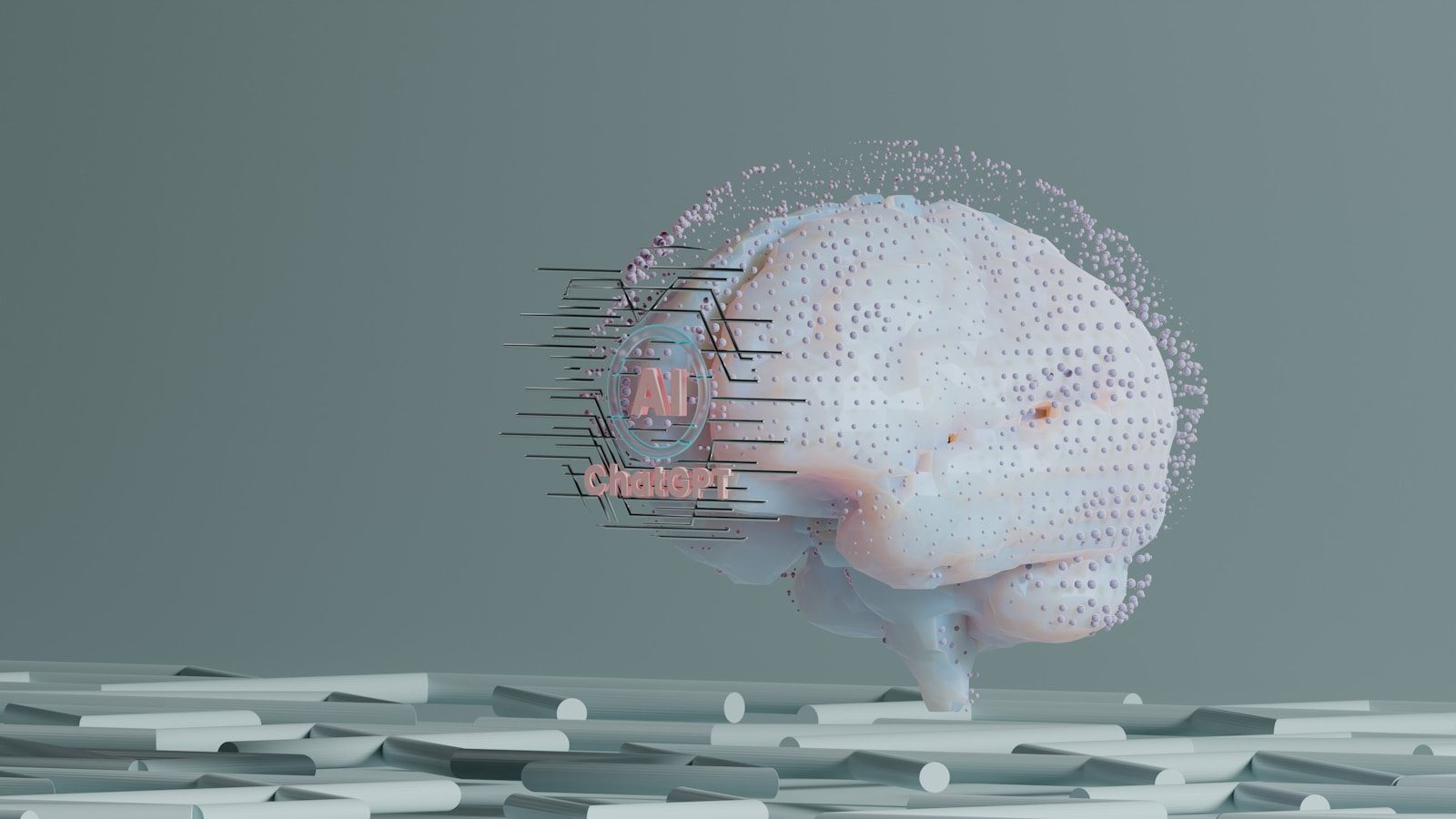 The Shocking New Map Of The Living Human Mind