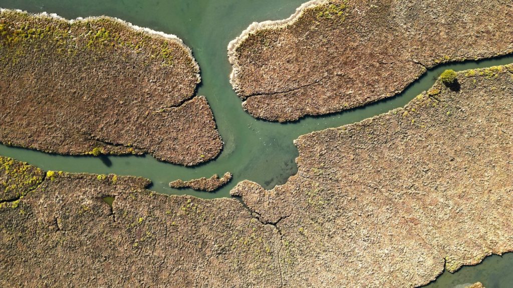 Aerial view of marshland with winding waterways