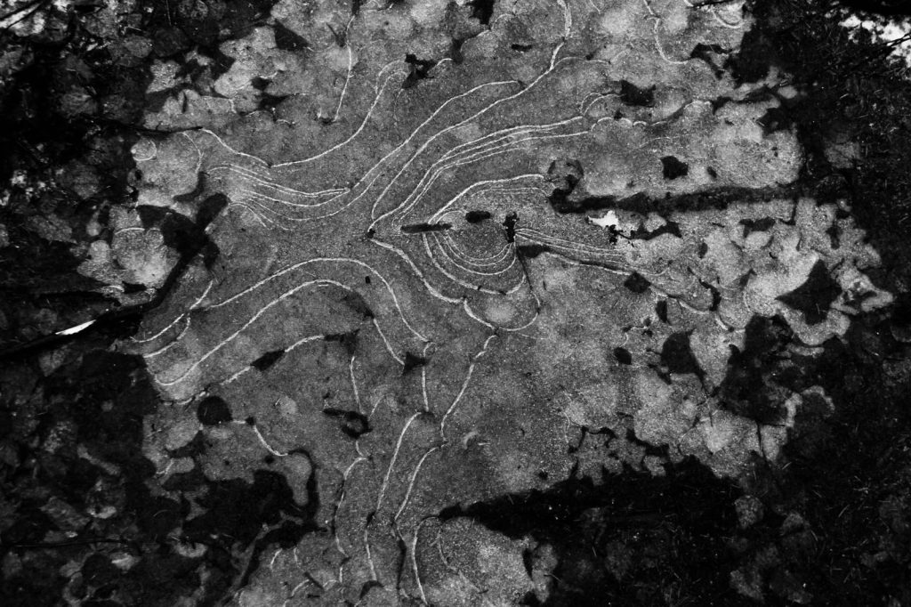 Black and white from above of frozen puddle with cracks in frosty weather