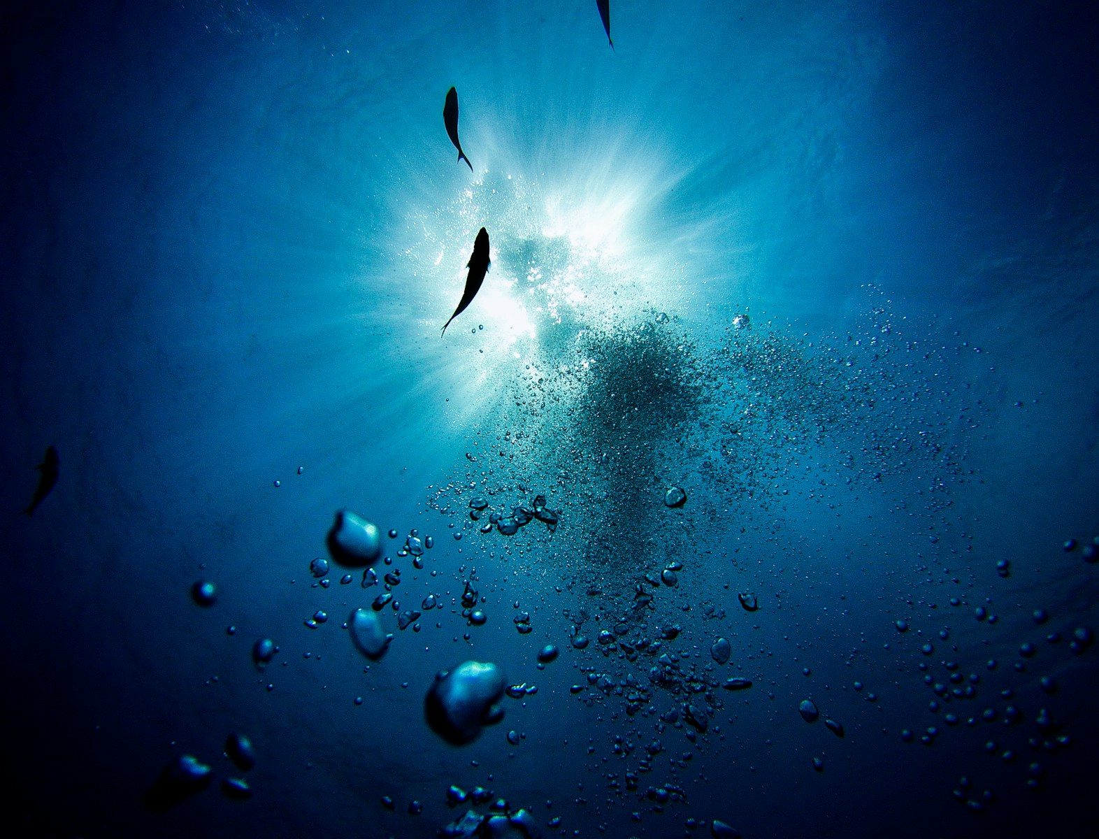 The Terrifying Deep Ocean Sound Baffling Navy Scientists