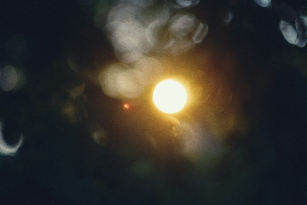 Bright sun peeking through dark, blurry foliage with bokeh.