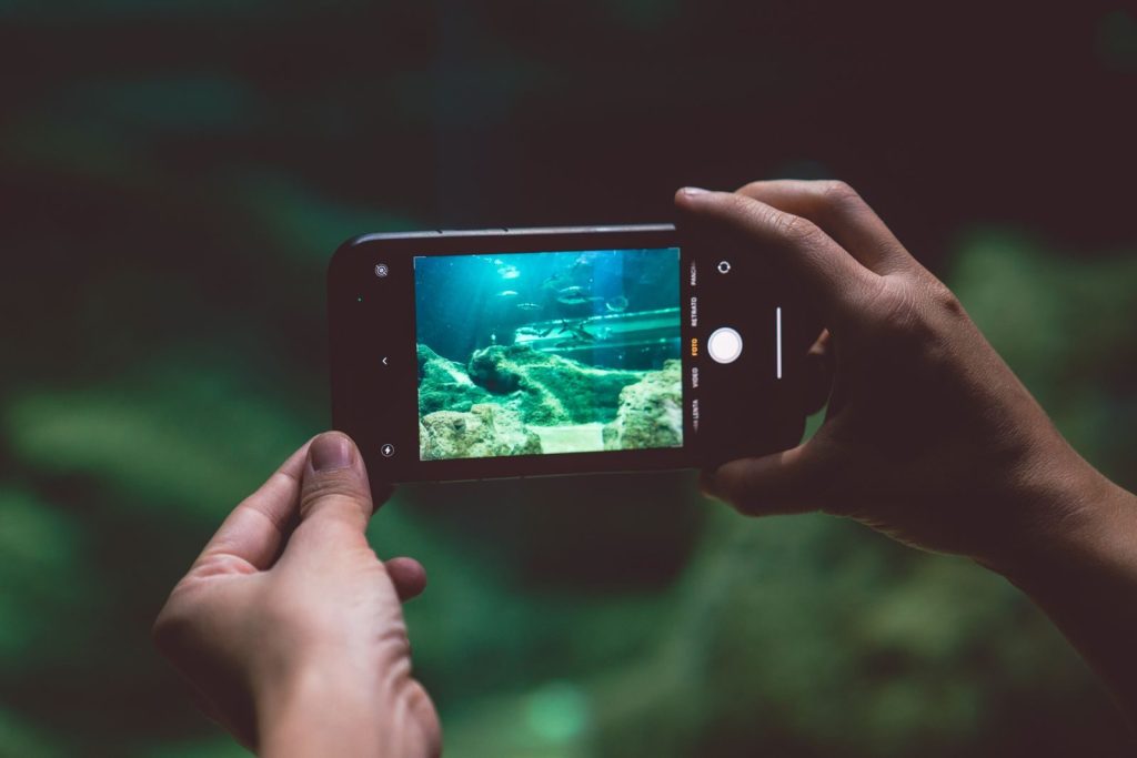 A person photographing an aquarium scene using a smartphone, highlighting marine life.
