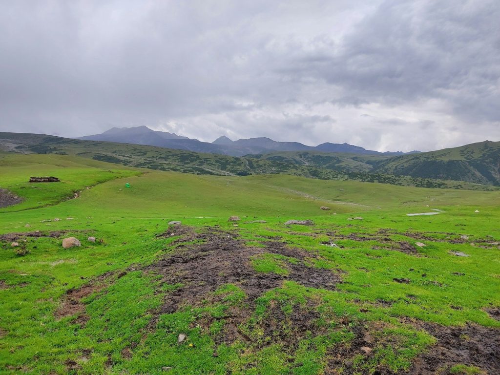 a grassy field with mountains in the background