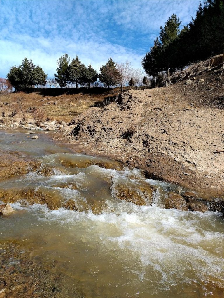 a small stream of water running through a forest