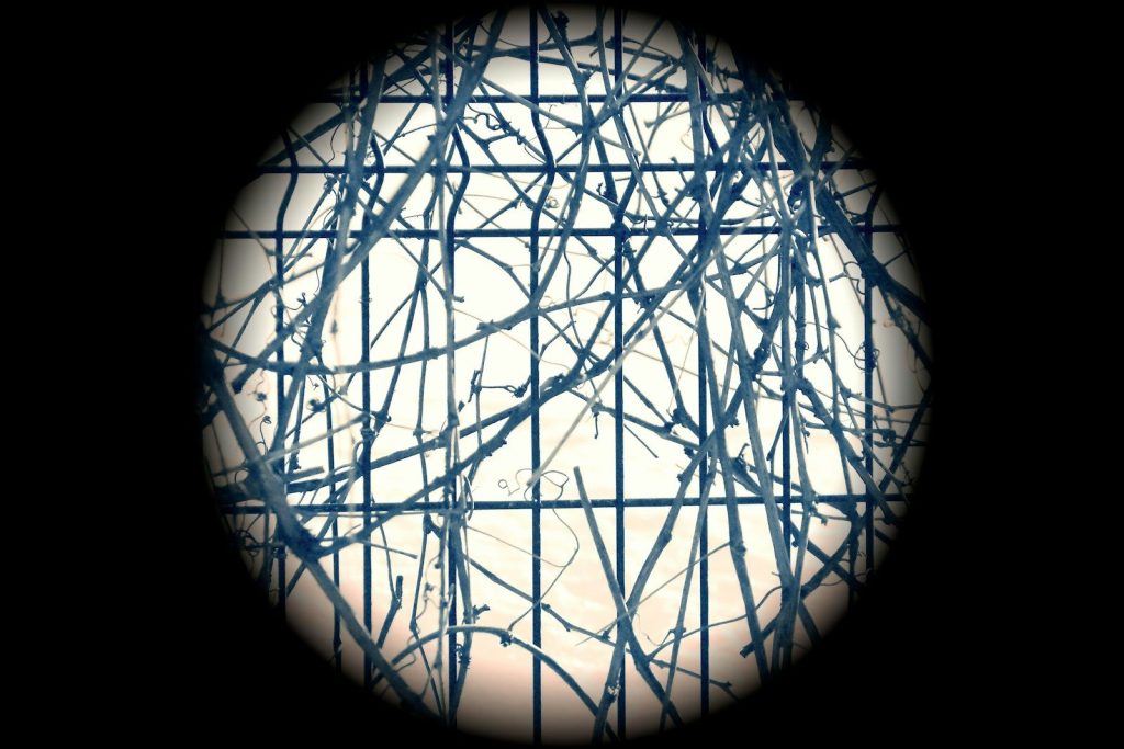 A picture of a circle with lines on it