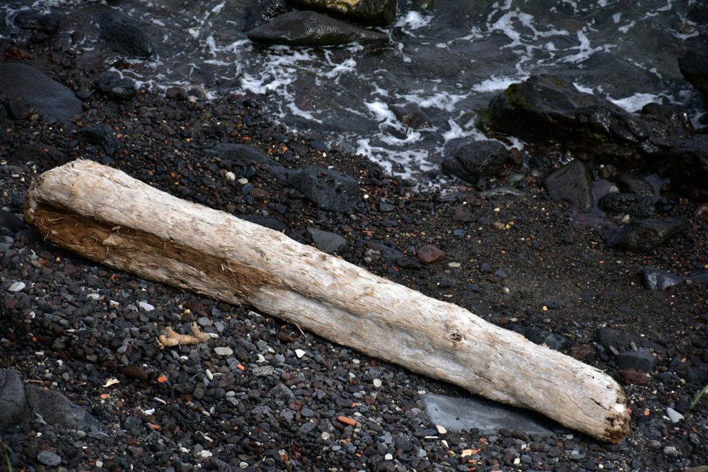 A weathered log rests on a dark, pebbly shore.