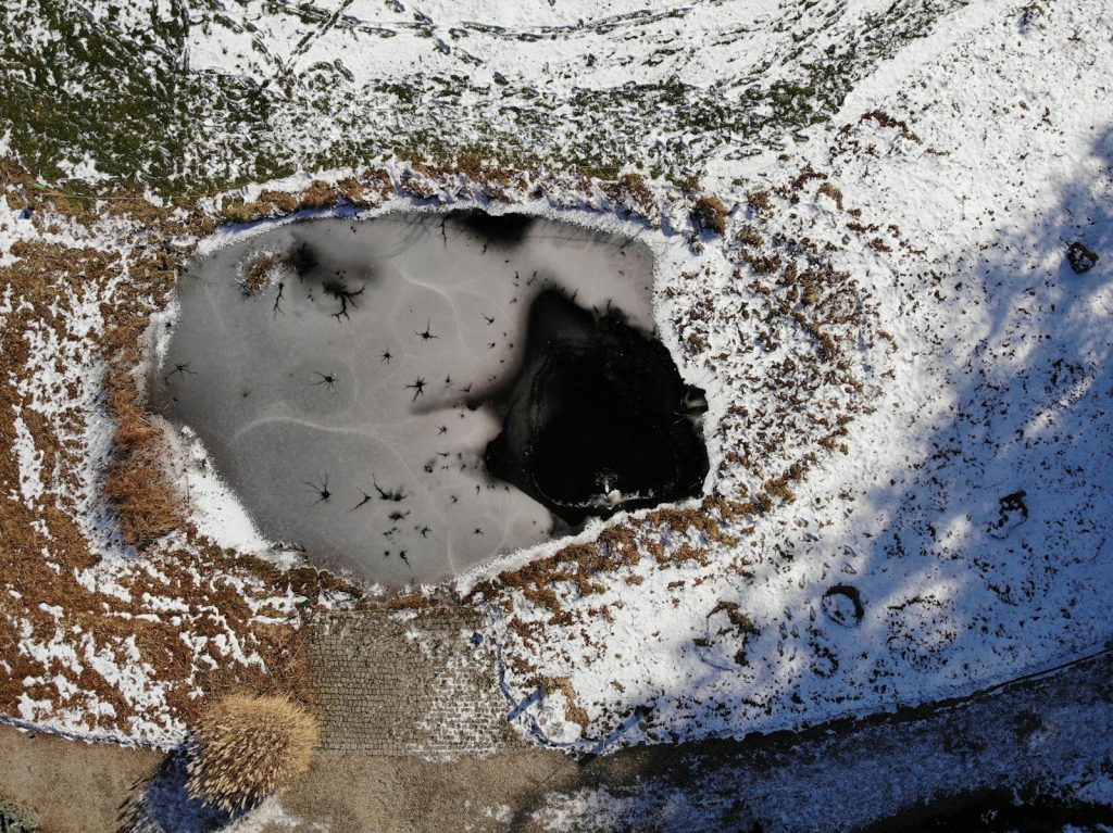 a piece of cake covered in snow