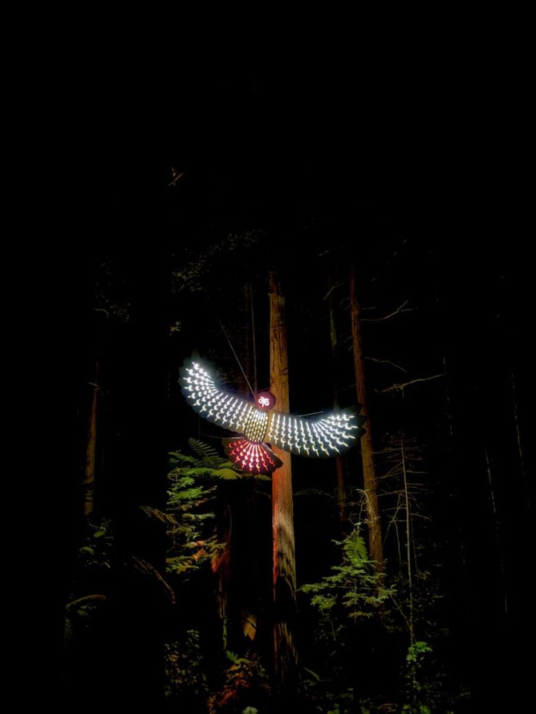 Illuminated owl lantern hanging in a dark forest