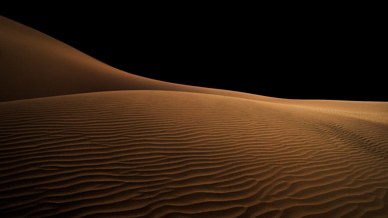 The Flying Dragon Fossil Found Beneath Desert Sands