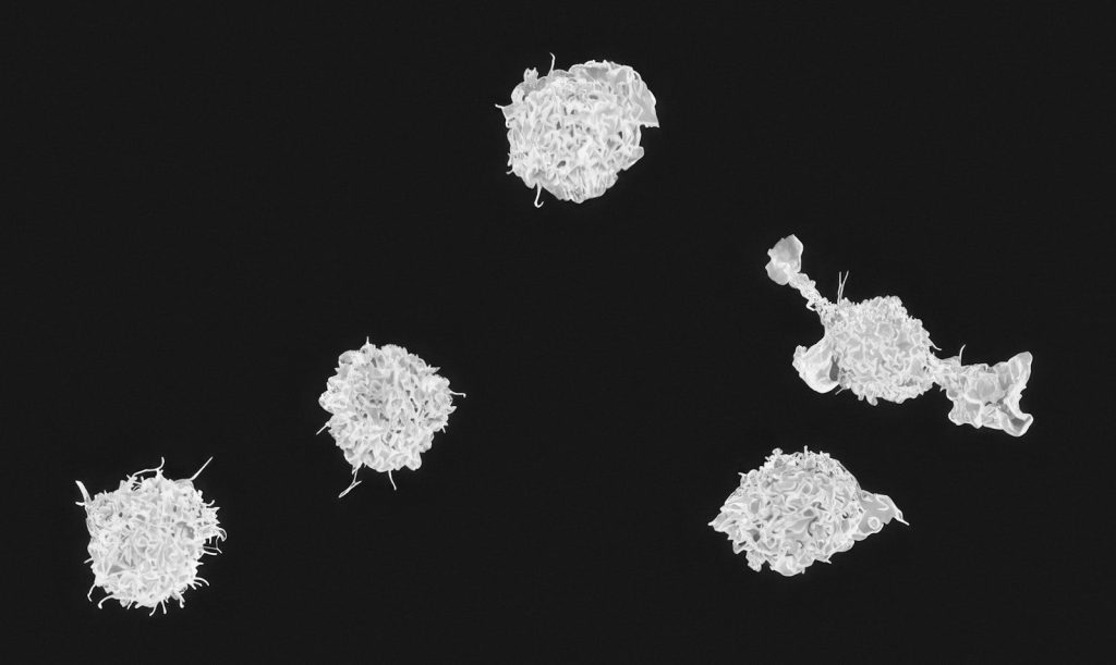 a black and white photo of a bunch of white stuff