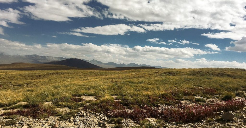 a grassy field with mountains in the background