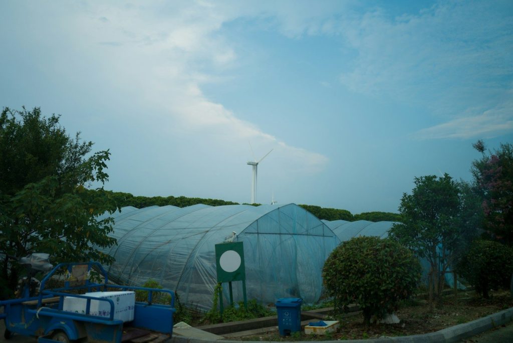 A blue truck parked in front of a green house