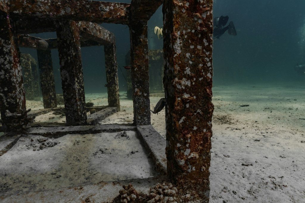 A rusty metal structure sits underwater.
