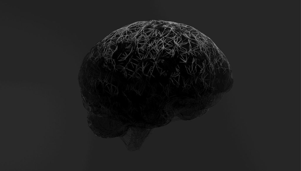 A black and white photo of a brain