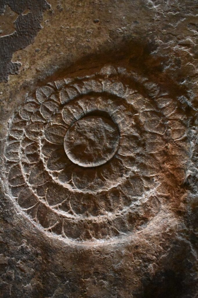 a rock with a circular design on it