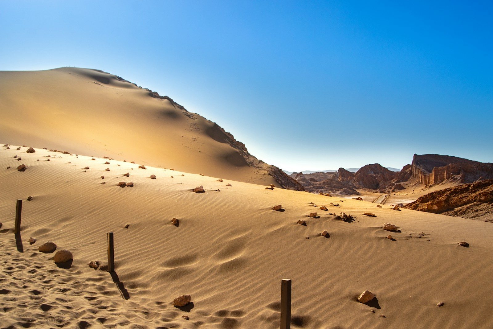 The Sahara Mummies Redefining The Human Family Tree