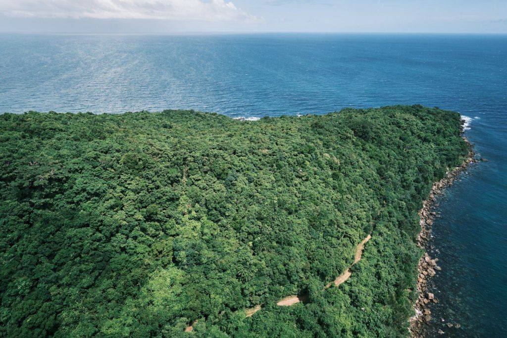 Lush green forest meets the blue ocean coastline.