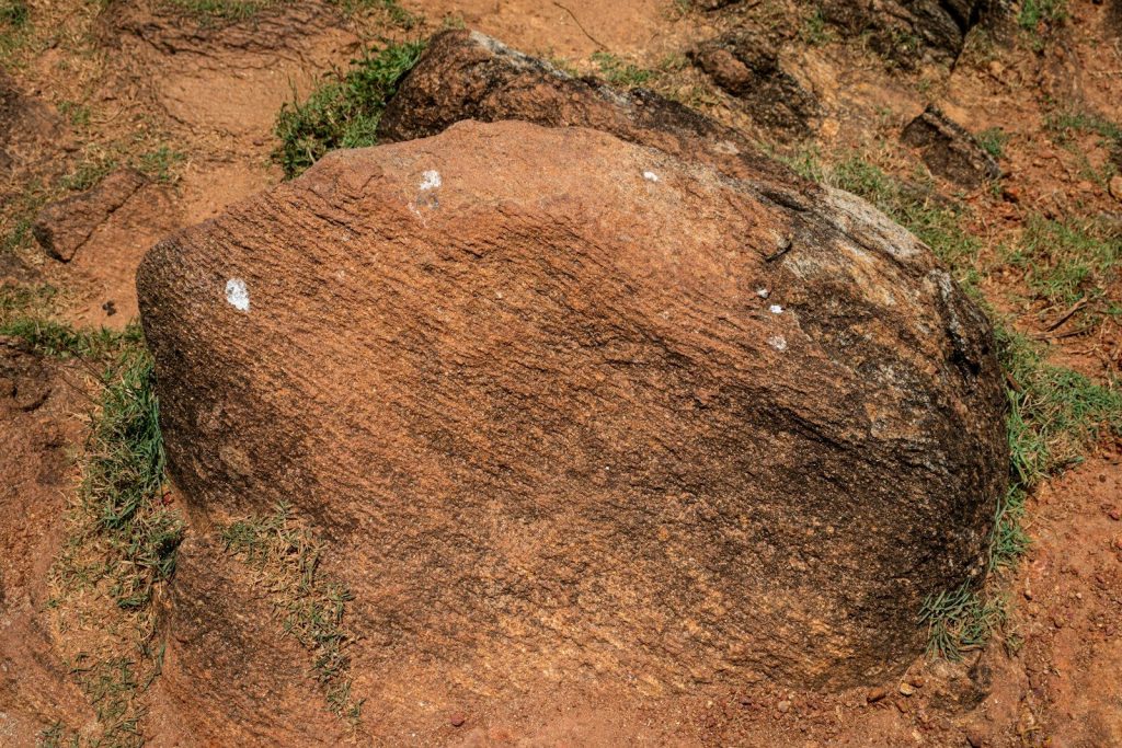Textured reddish-brown rock surrounded by green grass and dirt.