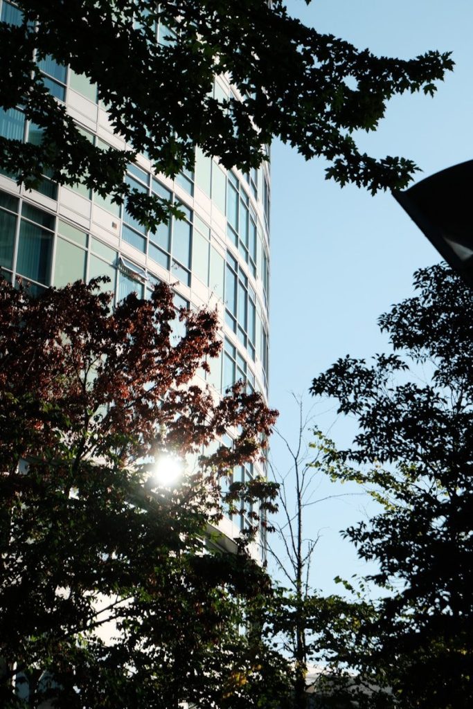 Modern building partially obscured by trees and sunlight.