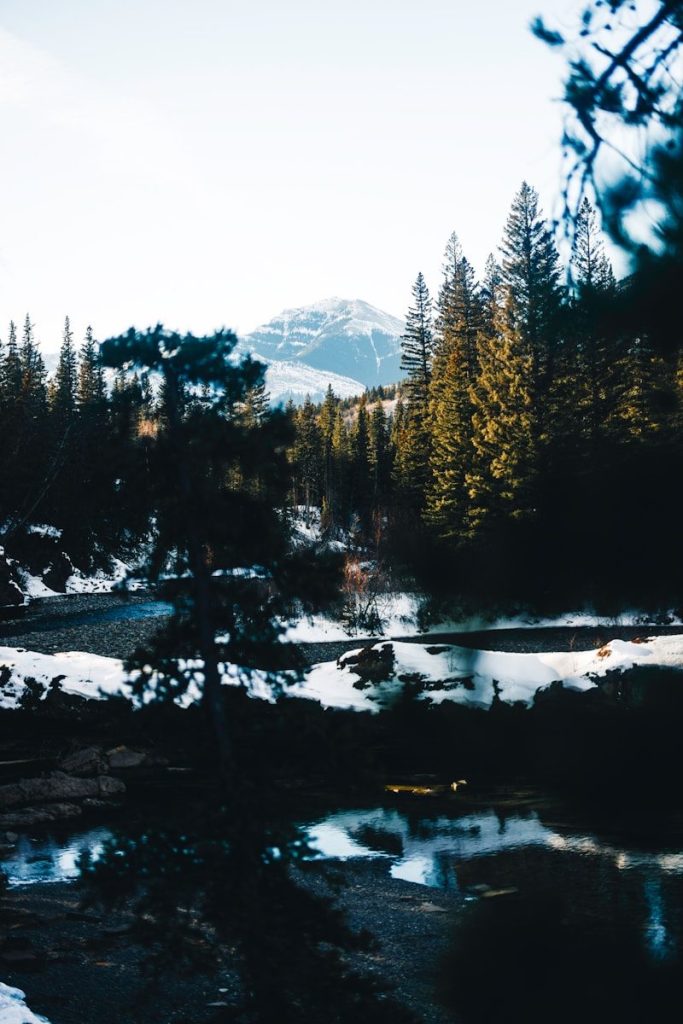 Winter forest with snow, river, and distant mountain.