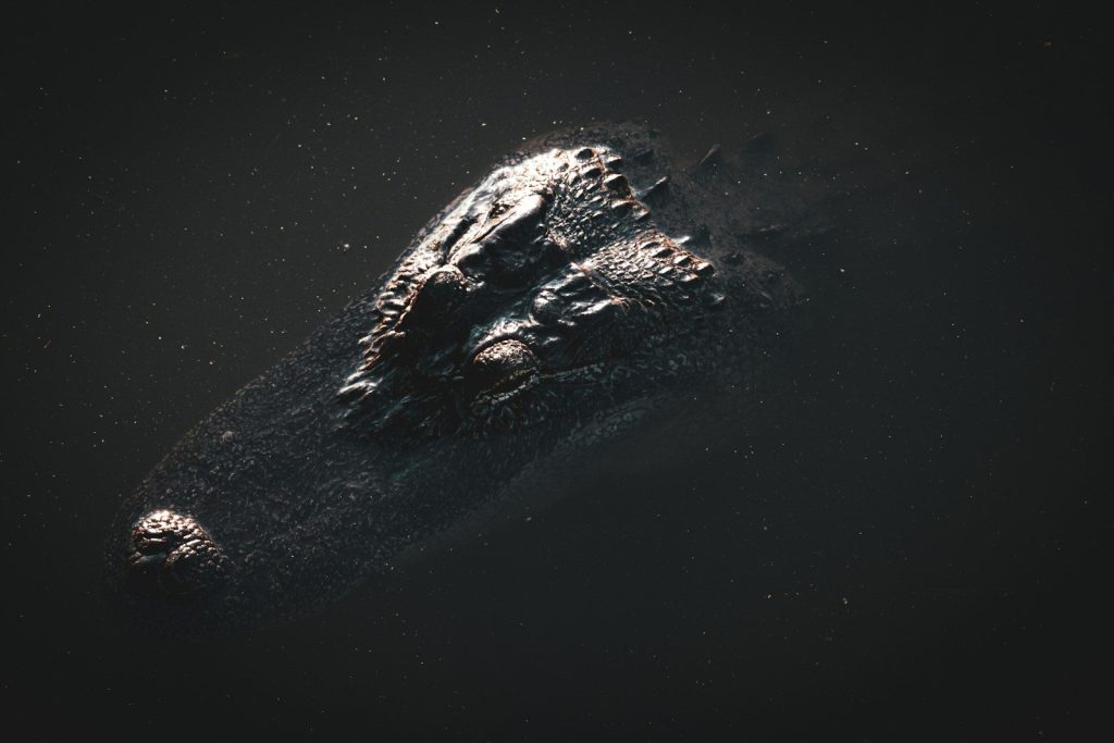 An image of an object in the dark