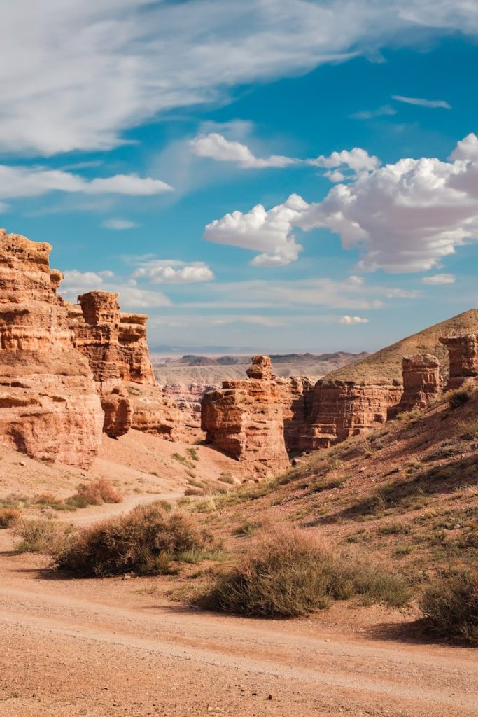 a dirt road in the middle of a desert