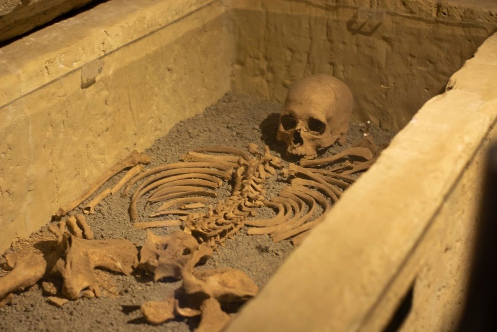 A detailed view of an ancient human skeleton in a coffin, ideal for historical studies.