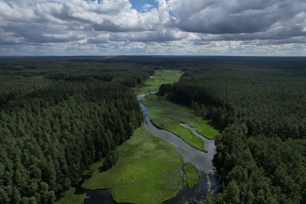 A breathtaking aerial landscape showcasing a green forest, winding river, and cloudy sky.