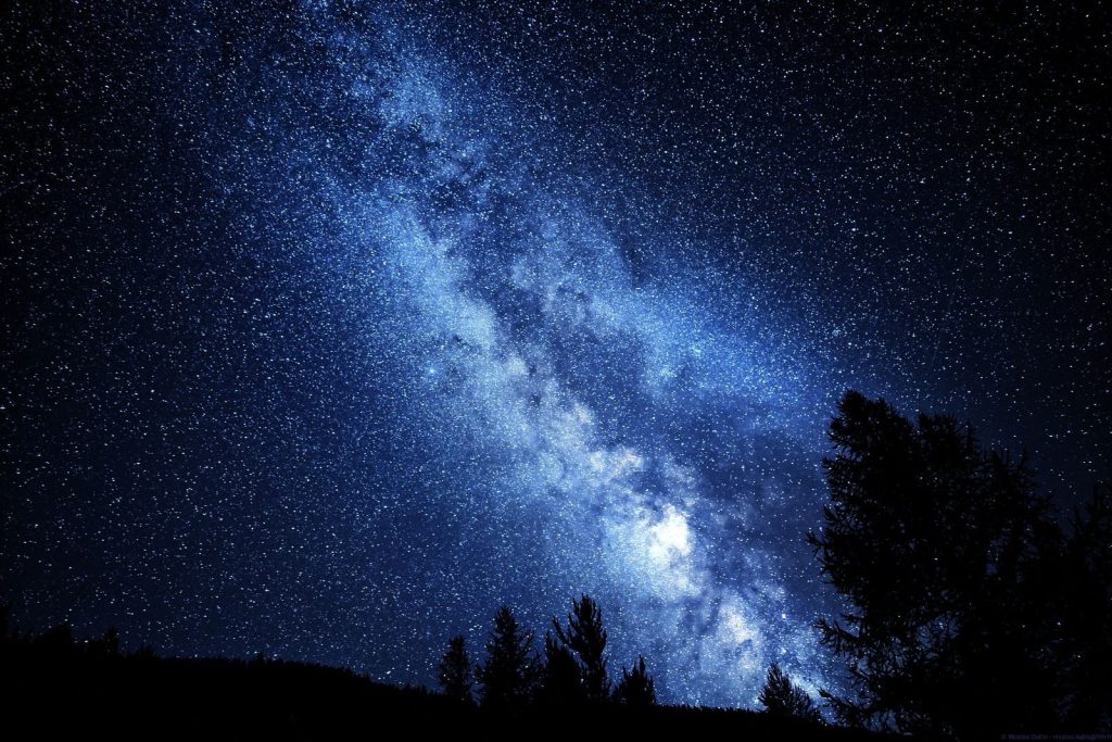 A breathtaking view of the Milky Way galaxy cast over a forest at night.