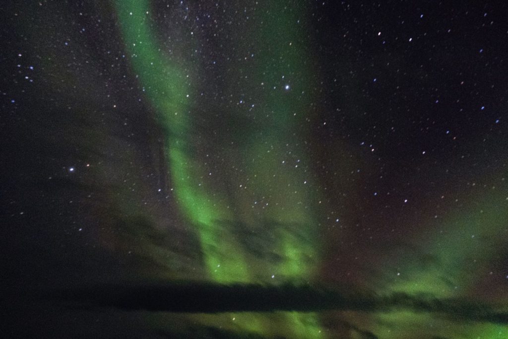 Capture of the mesmerizing green aurora borealis against a starry night sky.