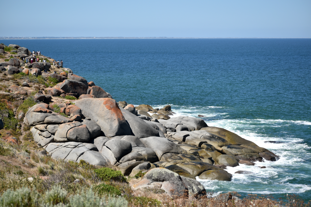 Sunlit coastal cliff with unique rock formations at Victor Harbor, Australia.