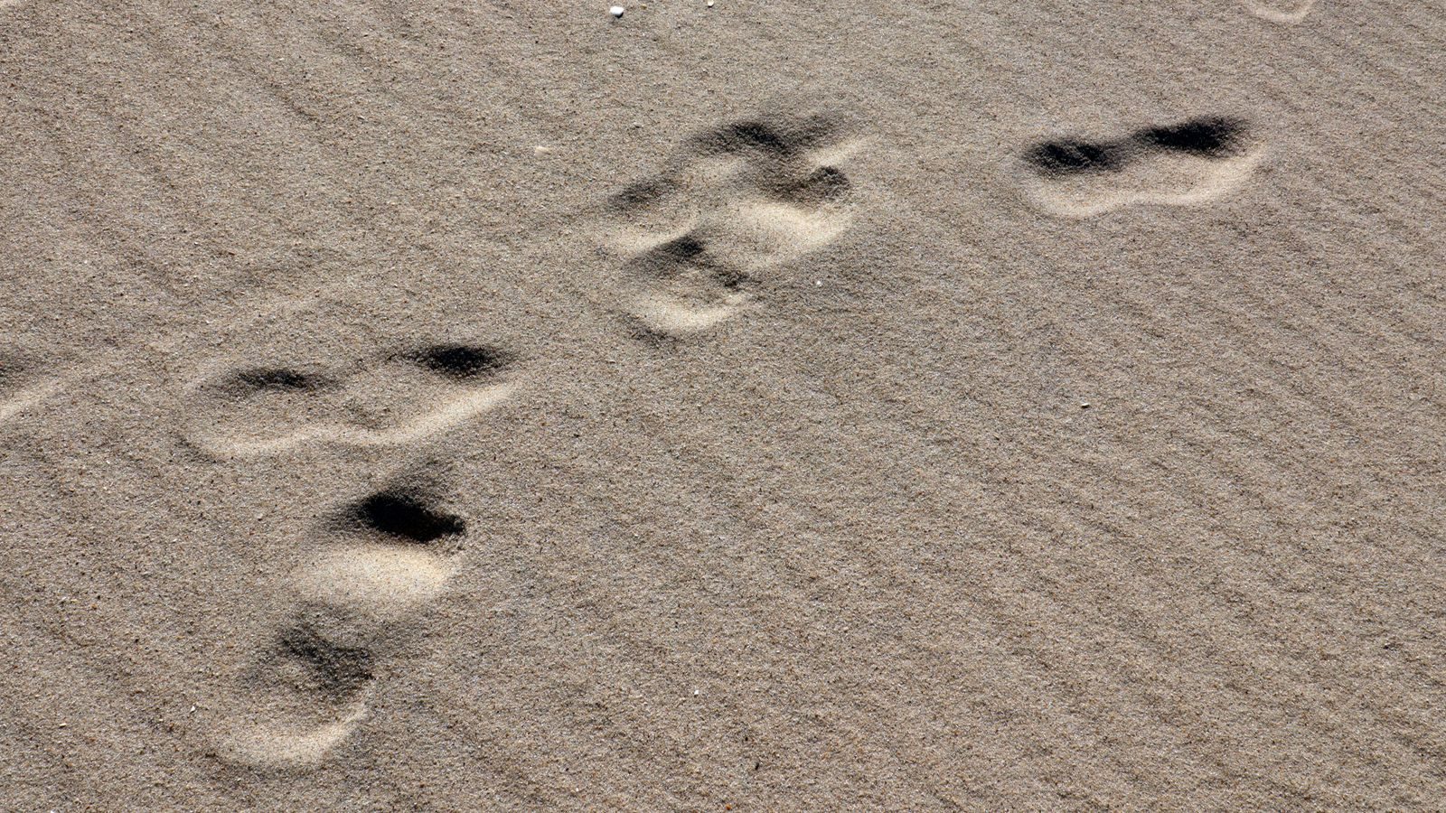 Close-up of human footprints on a sandy desert surface, evoking solitude and exploration.