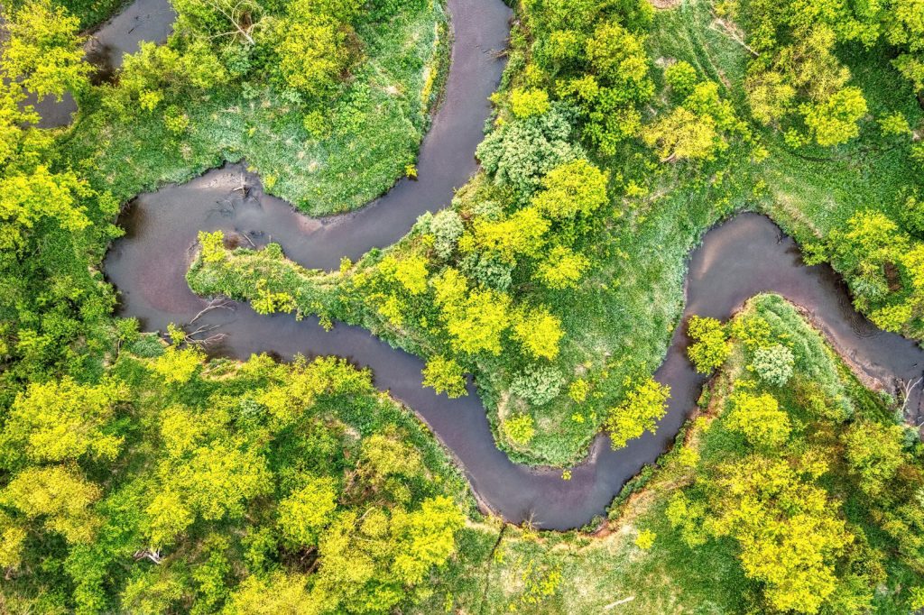 Explore the vibrant aerial view of a winding river within a forest in Misha Mokwa, Wisconsin.