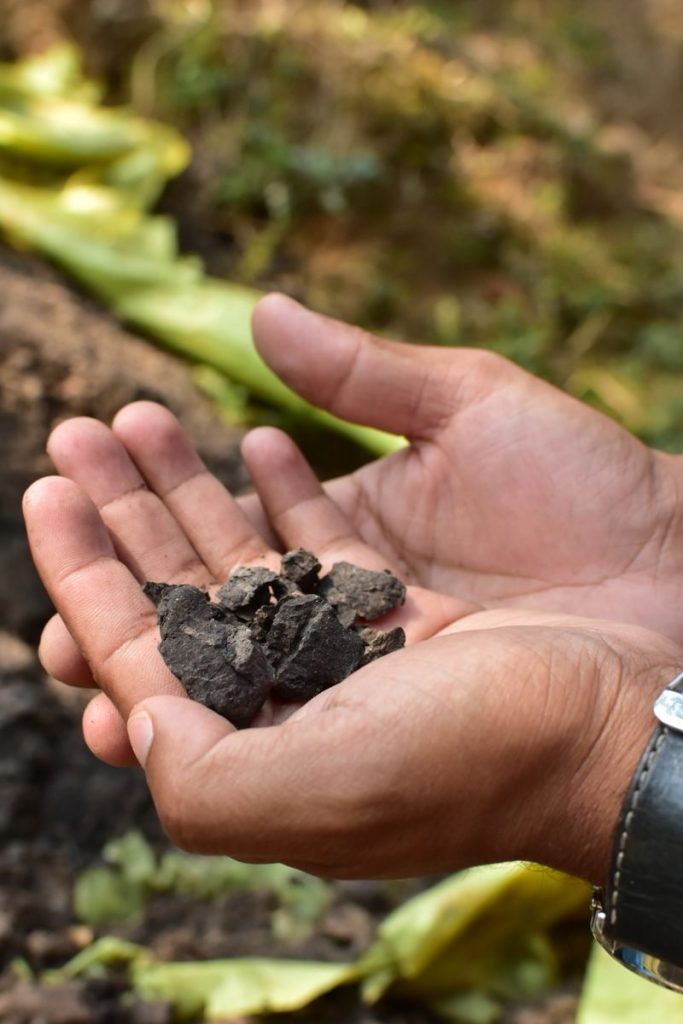 Close-up of hands holding ancient fragments, ideal for archaeology themes.