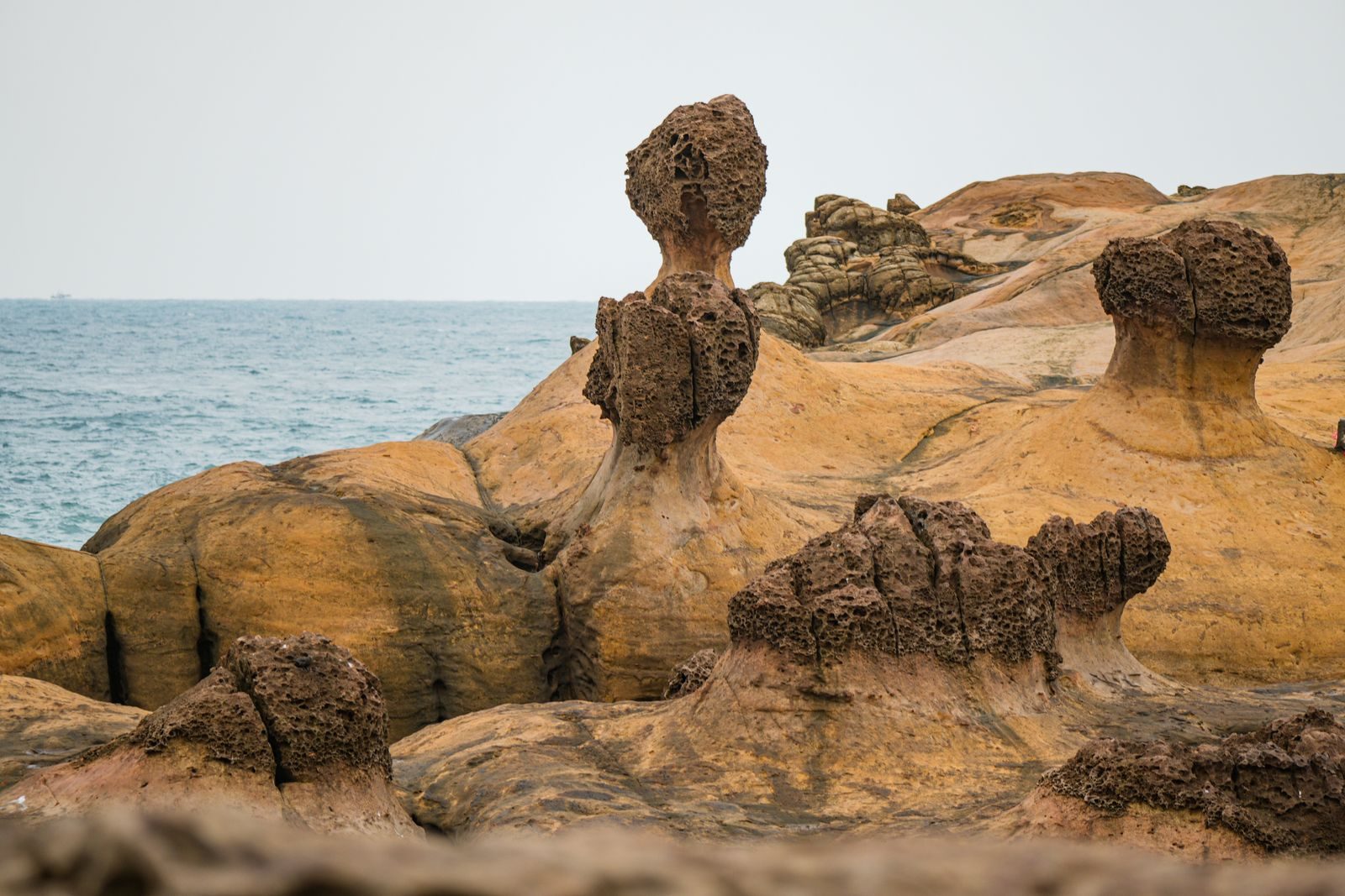 Scenic eroded rock formations by the sea at Yehliu Geopark, Taiwan, showcasing natural beauty.