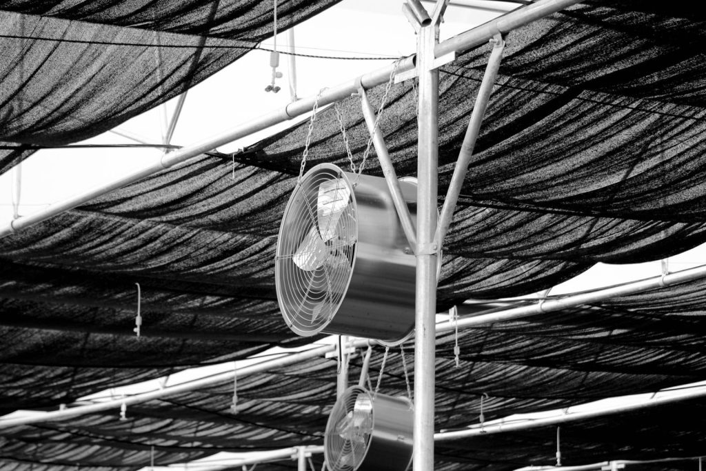 Black and white image of industrial fans under a shaded greenhouse roof, highlighting structure and function.