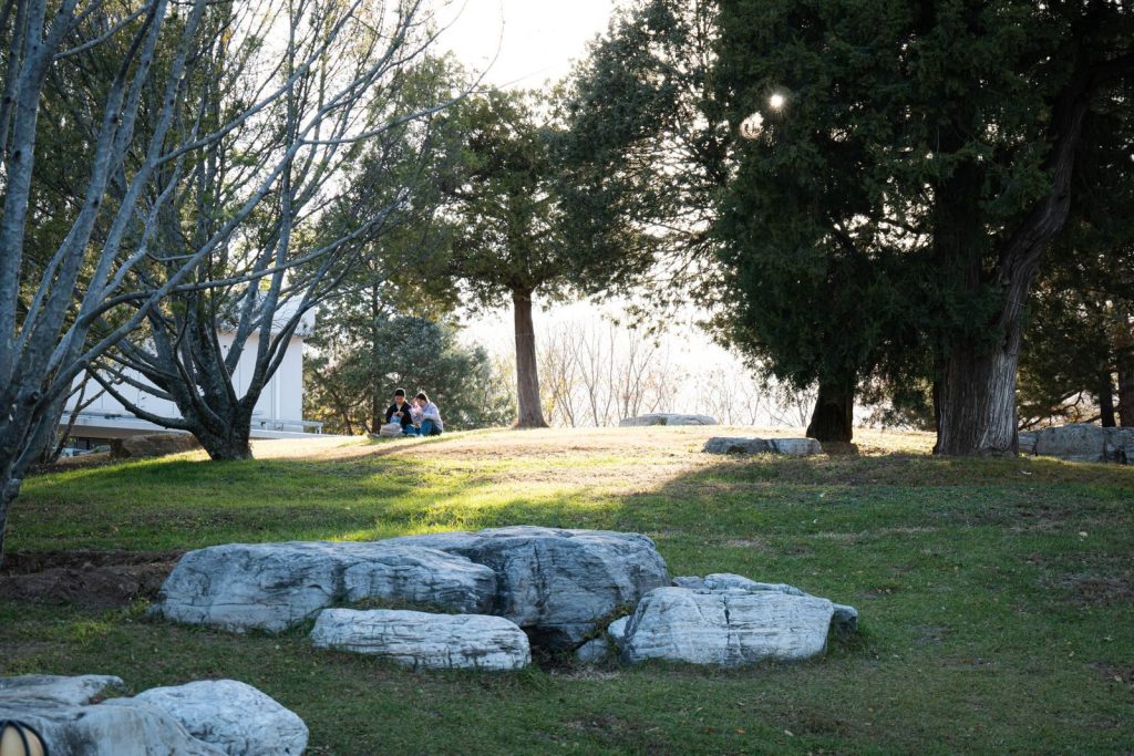A serene park scene with people gathered on a sunny day surrounded by trees and rocks.