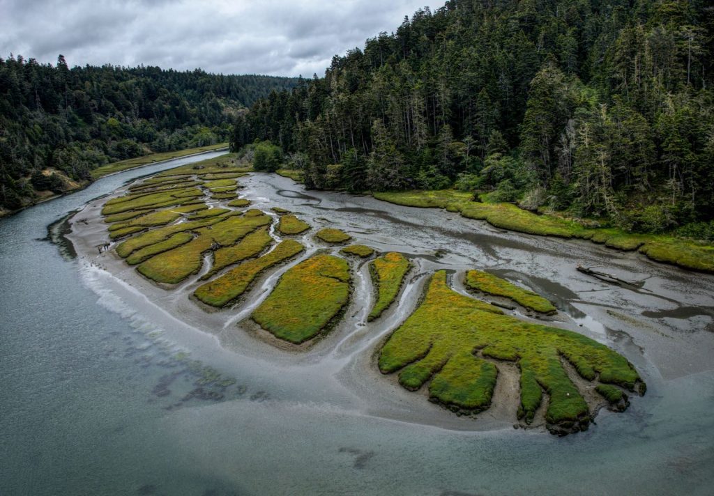 Aerial view of a winding river with lush greenery and dense forest, showcasing nature's beauty and tranquility.