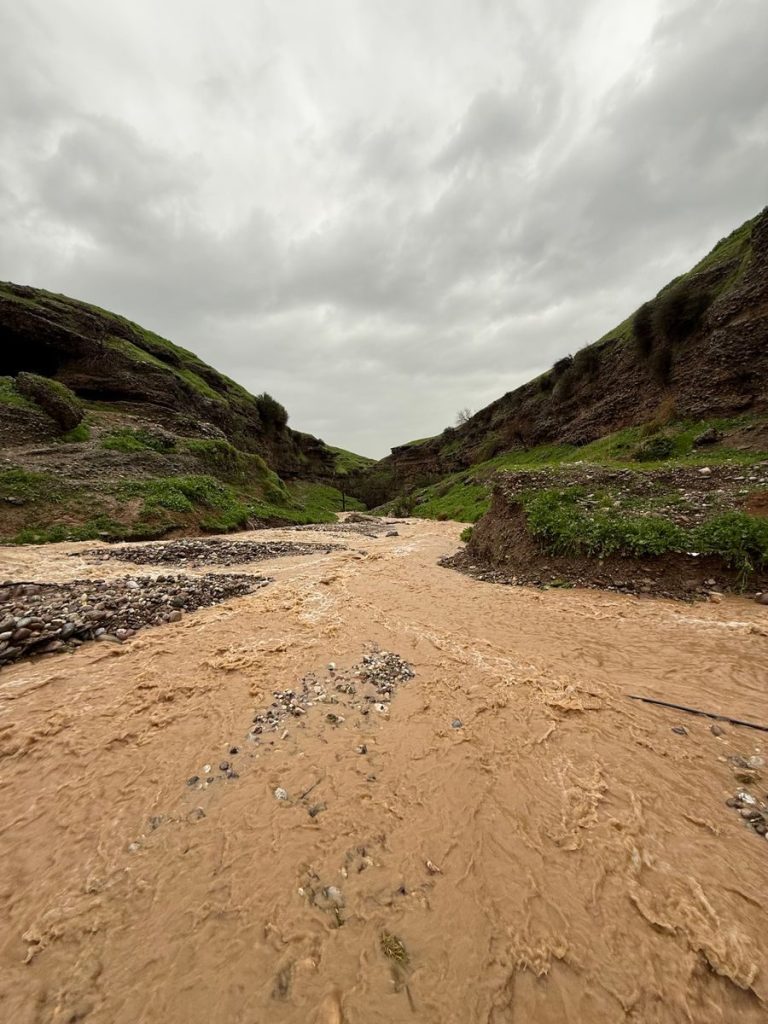 A muddy river flows through a rugged gorge under a cloudy sky, showcasing dramatic natural beauty.