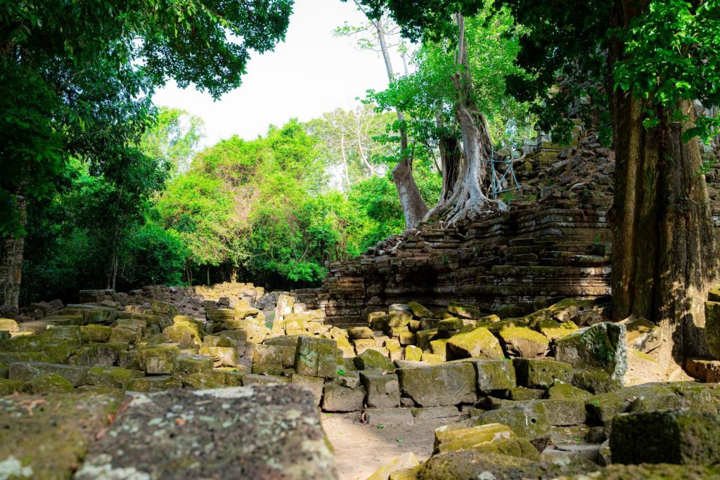 Explore the mystical ancient ruins of Angkor amidst lush greenery in Siem Reap, Cambodia.