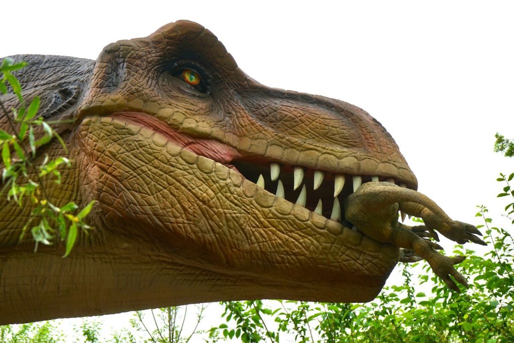 Detailed image of a Tyrannosaurus rex model in an outdoor setting, showcasing teeth and predator features.
