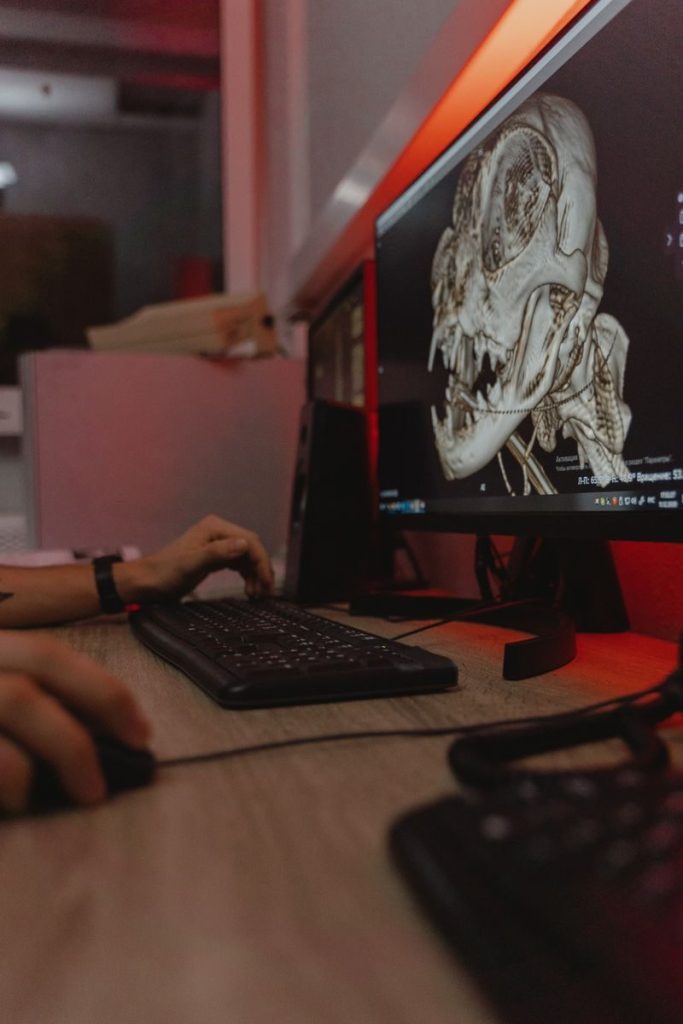 Detailed view of an animal skull scan on a computer monitor in a medical setting.