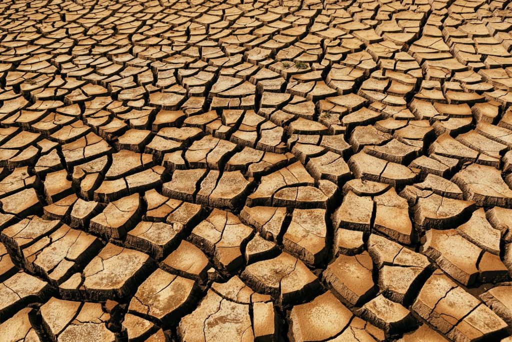 A detailed view of cracked, arid earth surface indicating drought in Colorado.