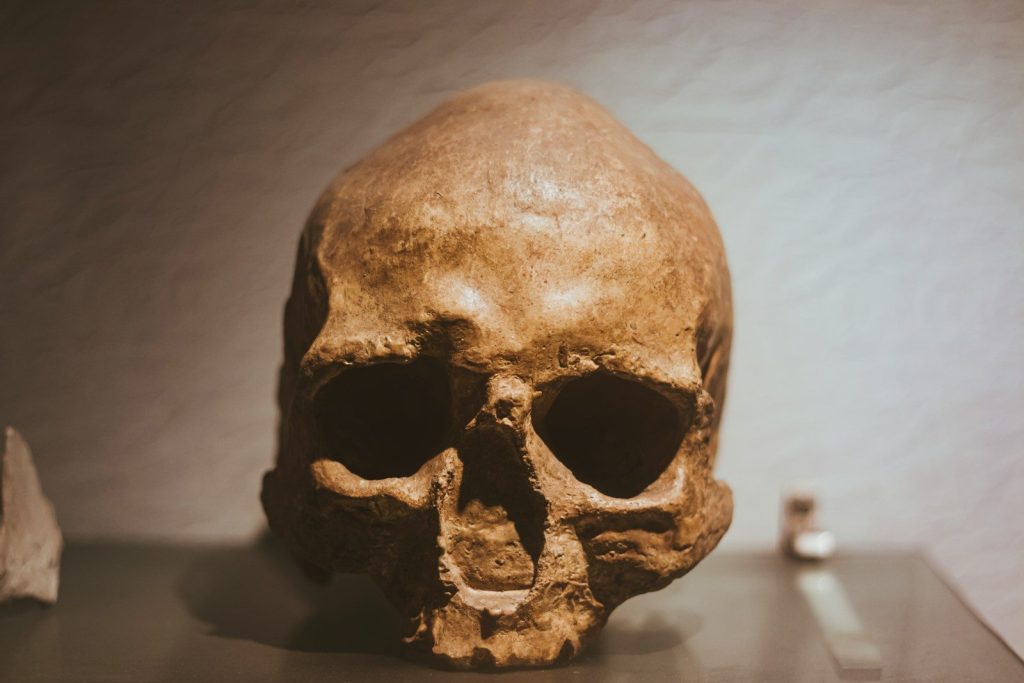 a skull on a table