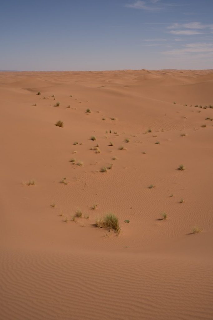 Sandy desert landscape with sparse vegetation under a blue sky