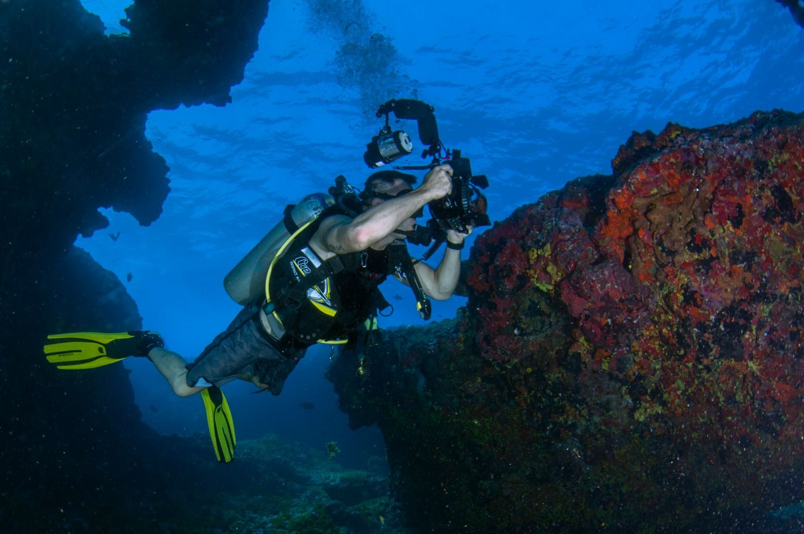 Why Deadly Ocean Goo Is Thrilling Biologists