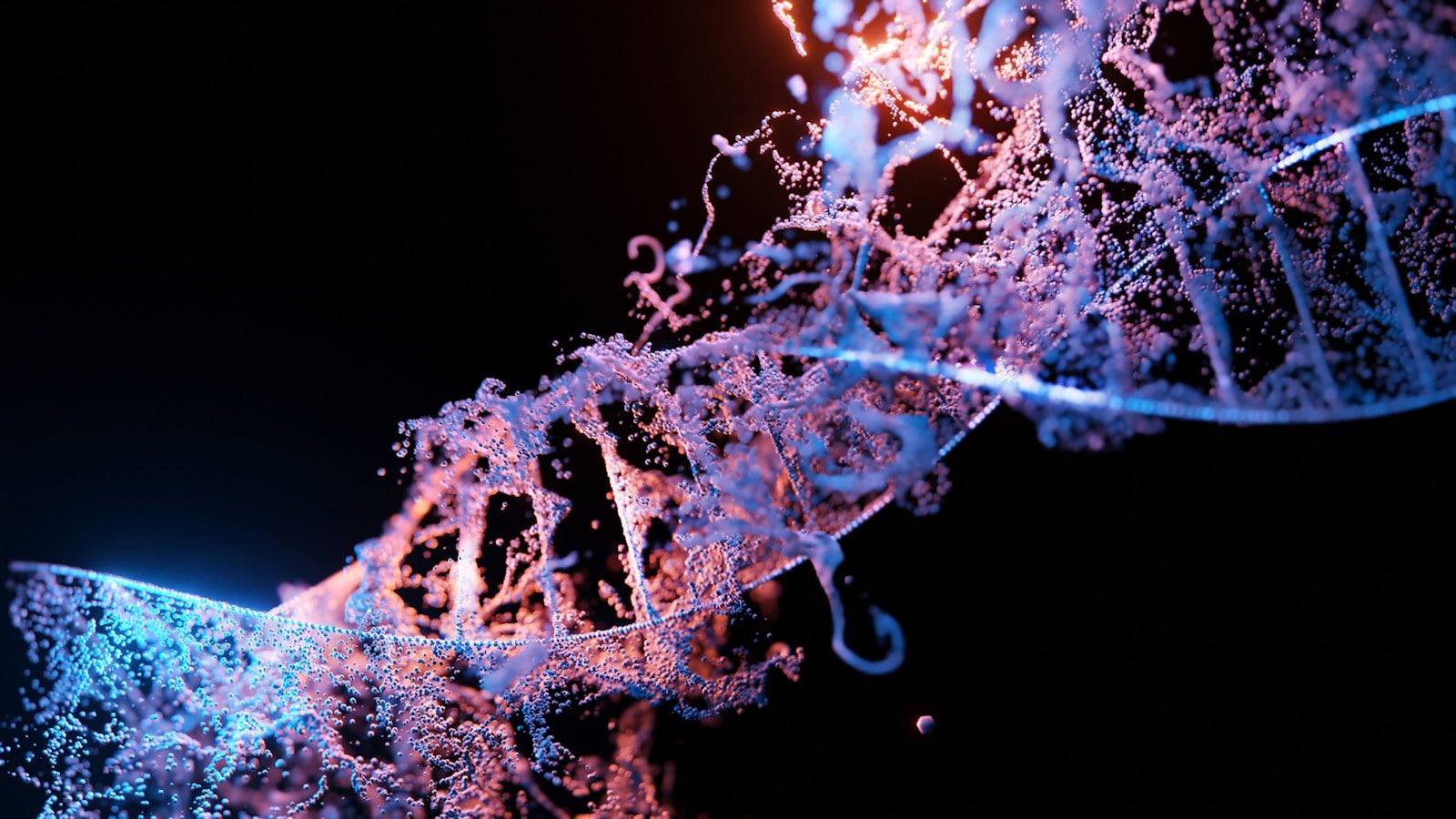 Why Our Lifespan Is Already Decided At Birth